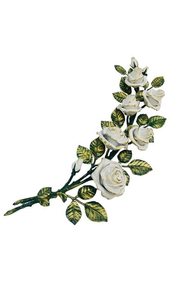 Розы белые AM0829