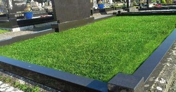 газонная трава на могилу